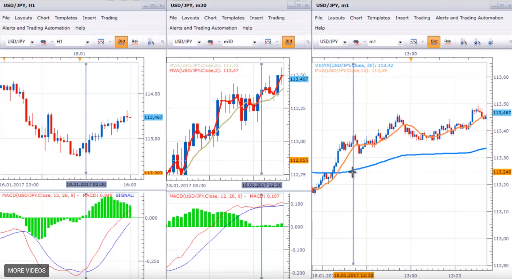 Forex strategy course